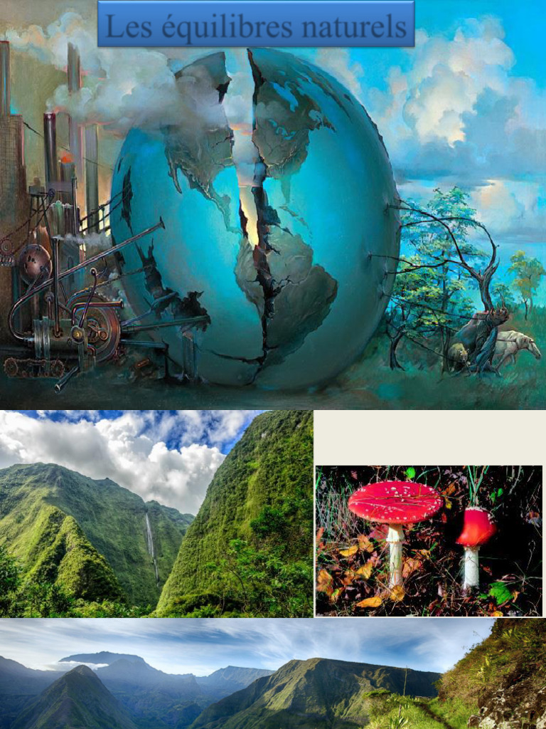 Impact des Activités Humaines sur l'Environnement | PDF | Dioxyde de ...