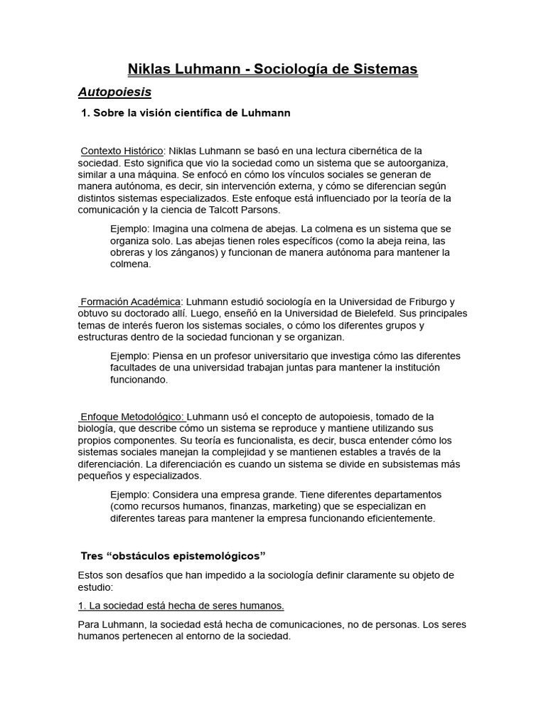 Niklas Luhmann | PDF | Sistema | Sociedad