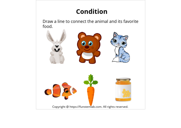Animal-Food Matching Activity | PDF