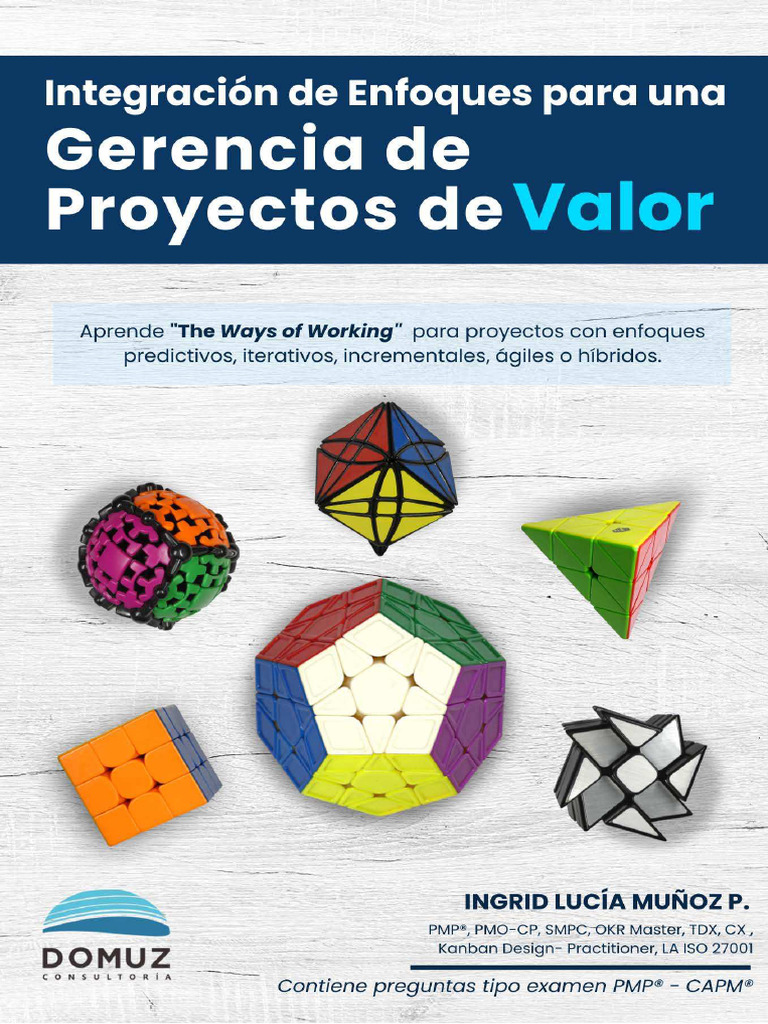 Gerencia de Proyectos de Valor PMBOK | PDF | Profesional en el manejo ...