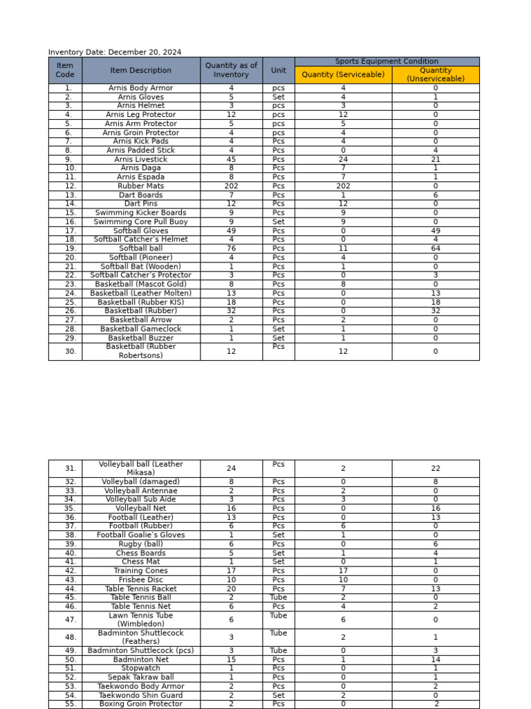Sports Equipment Inventory Report 2024 | PDF | Softball | Sports Equipment