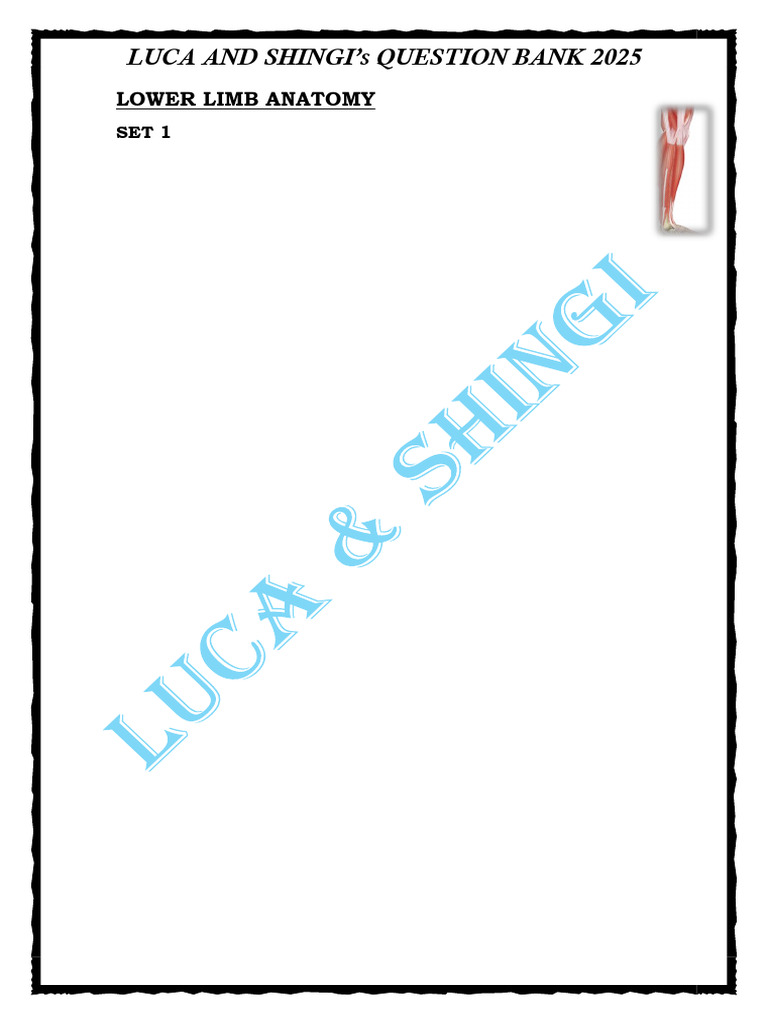 Luca and Shingi's Lower Limb Anatomy Question Bank 2 | PDF | Human Leg ...