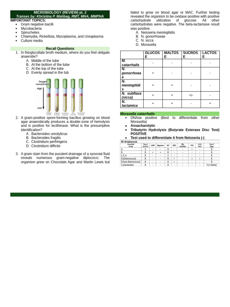 Microbiology Part 2 Revised Blank Pdf Pseudomonas Aeruginosa