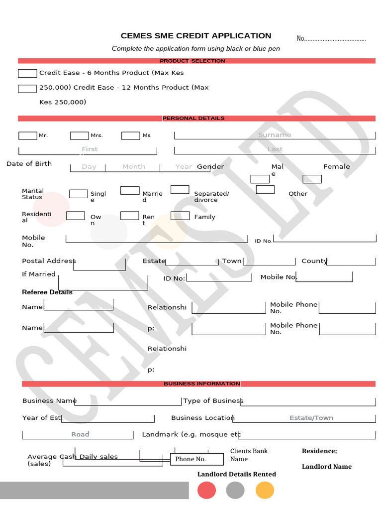 Application Form 1-CEMES LTD | PDF | Loans | Debt
