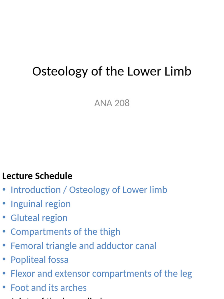 Osteology of the Lower Limb Overview | PDF