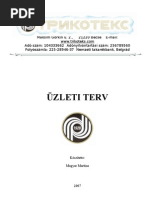 Download Uzleti terv pelda 1 by Pter Bagi SN81215661 doc pdf