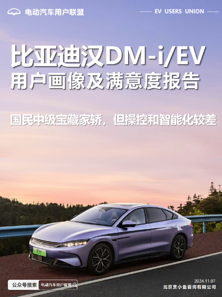 比亚迪汉用户满意度报告| PDF