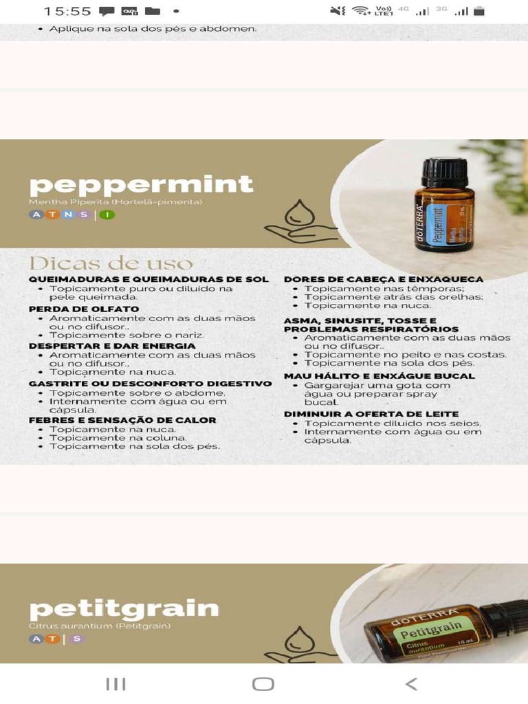 Certo | PDF