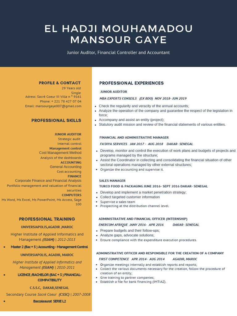 MGA CV Eng pdf | PDF | Financial Services | Business