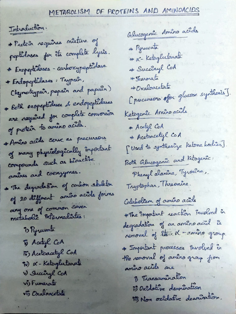 Metabolism of Proteins and Amino Acids | PDF | Cell Biology | Biochemistry