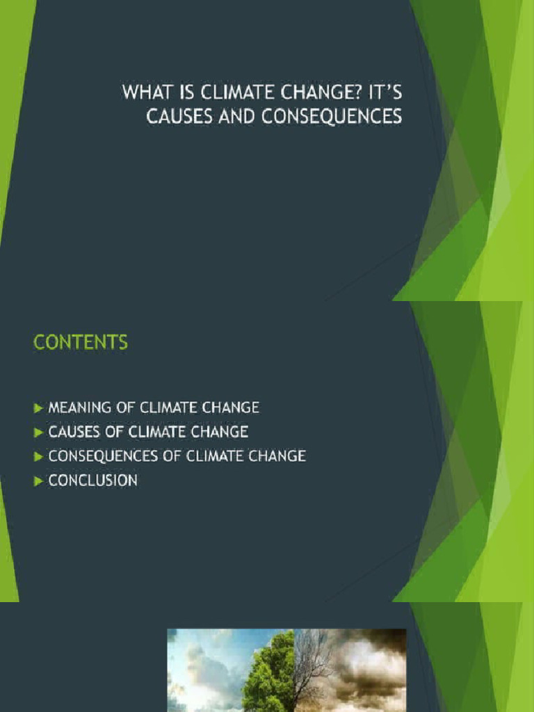 Climate Change: Causes & Effects | PDF | Greenhouse Effect | Greenhouse Gas