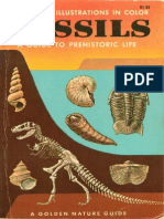 Fossils - A Golden Nature Guide