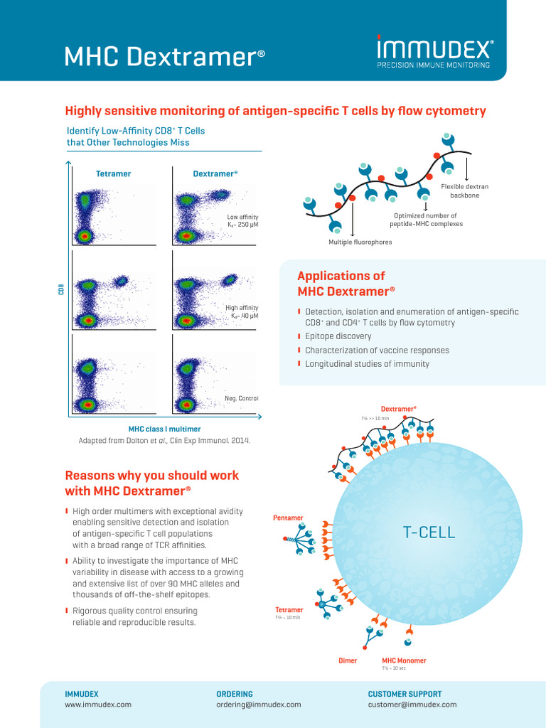 mm024101 MHC Dextramer Flyer Digital | PDF | Major Histocompatibility ...