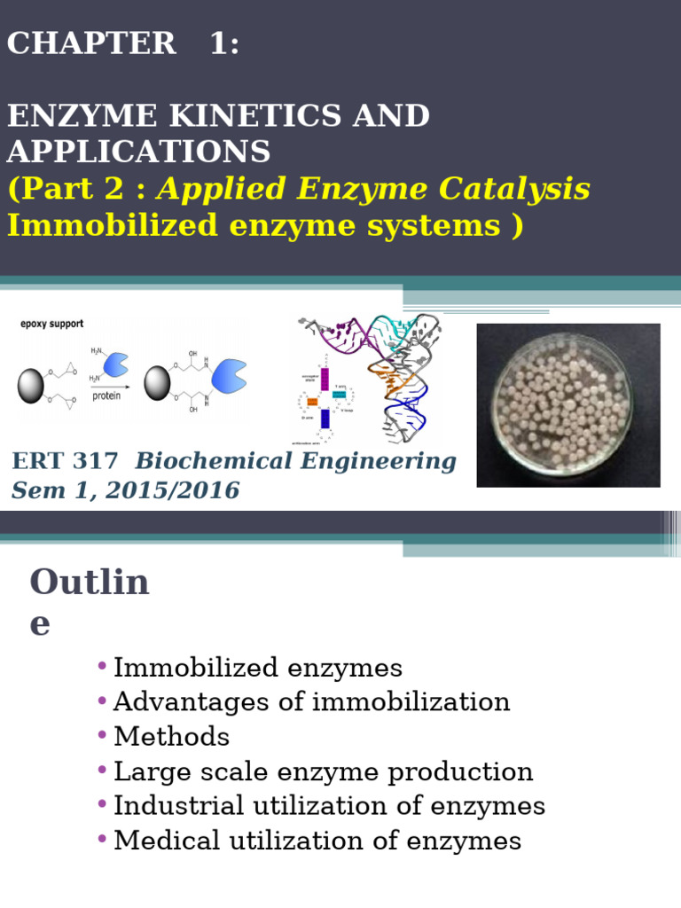 Immobilized Enzyme Systems Overview | PDF | Enzyme | Adsorption