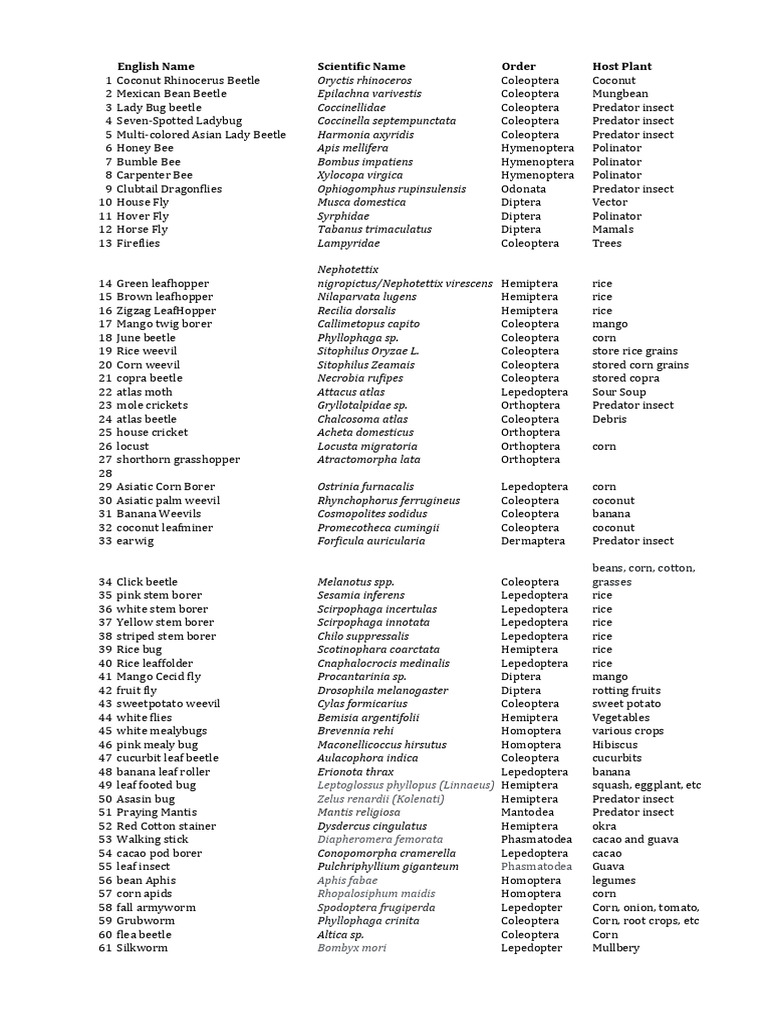 Insect Identification Guide with Images | PDF | Insects | Beetle