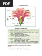 Seed Formation and Dispersal Methods | PDF | Fertilisation | Flowers