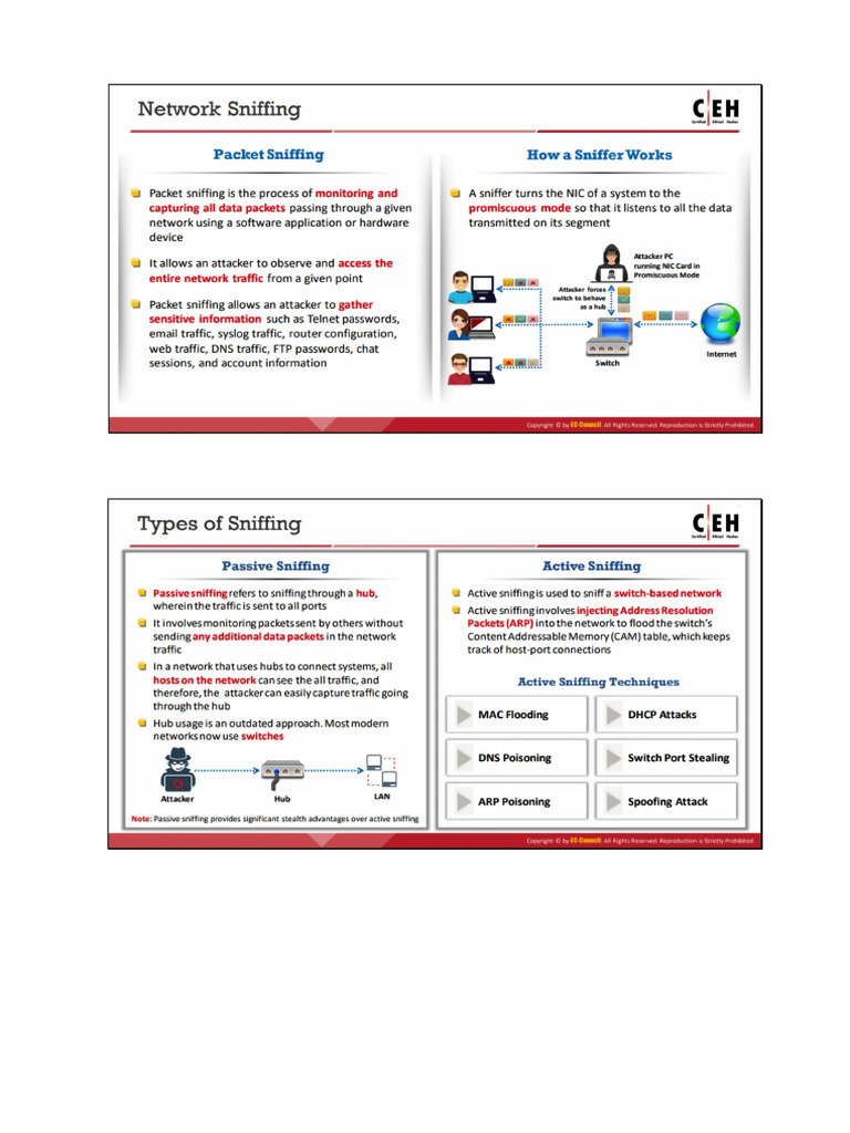 8 Sniffing | PDF