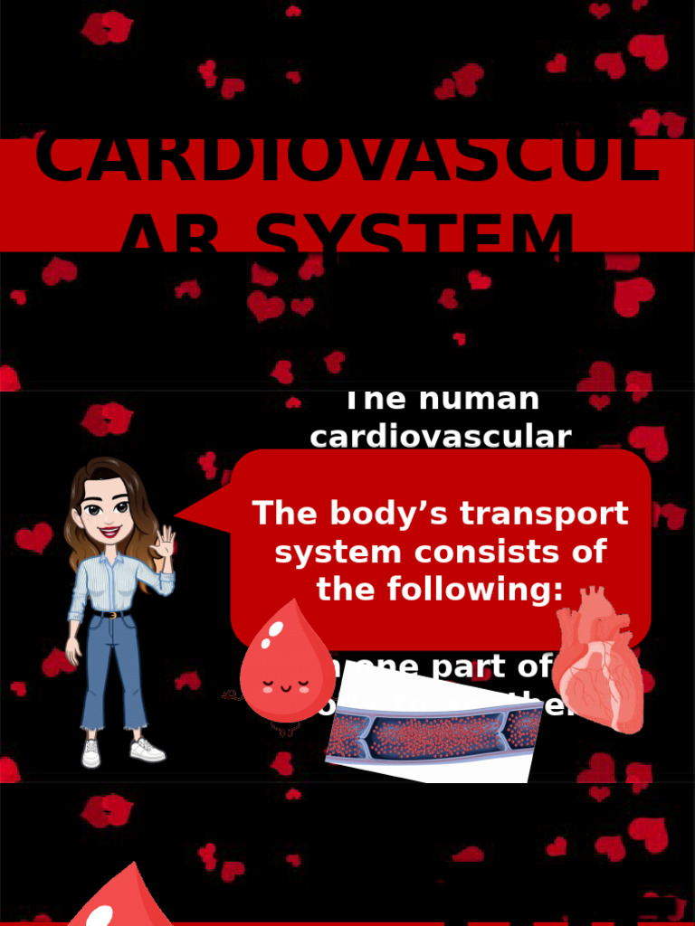 Overview of the Cardiovascular System | PDF | Heart Valve | Heart