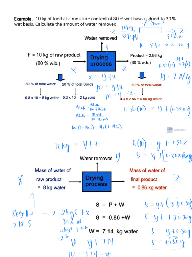 Mga Anemic Mass Balance Sample Problem | PDF