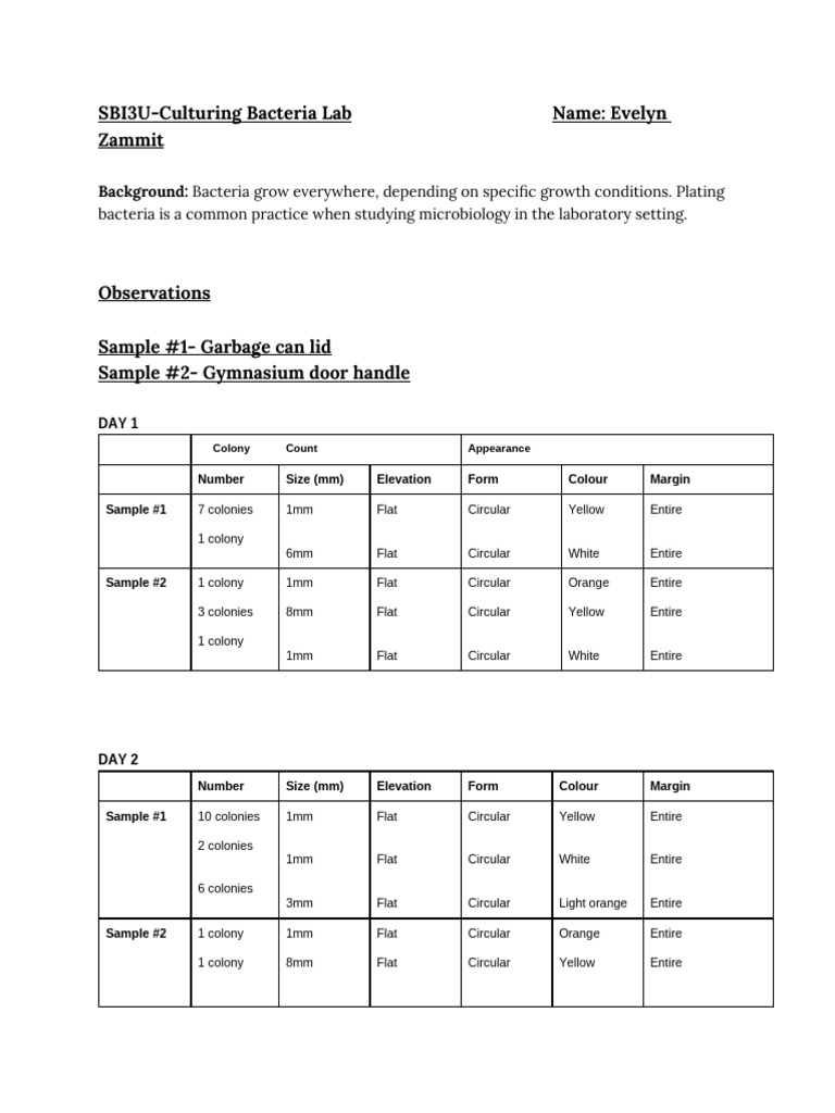 Bacterial Growth Observation Lab Report | PDF | Bacteria | Escherichia Coli