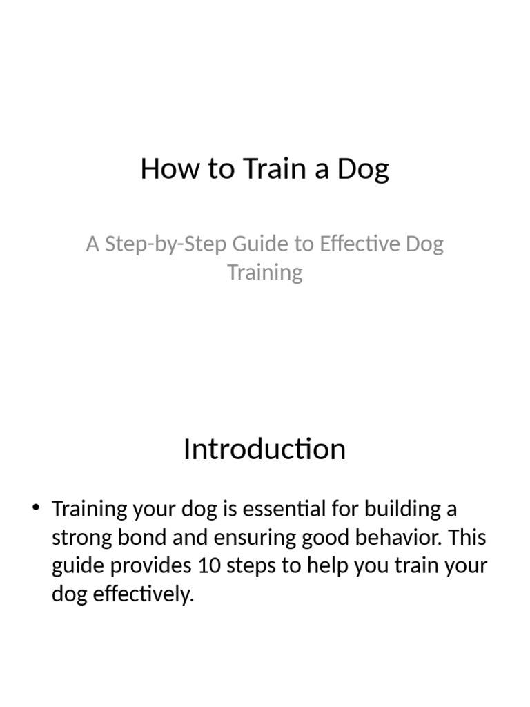 Effective Dog Training Guide | PDF