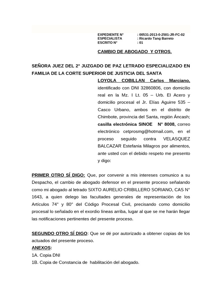 Apersonamiento Ante El Juzgado | PDF