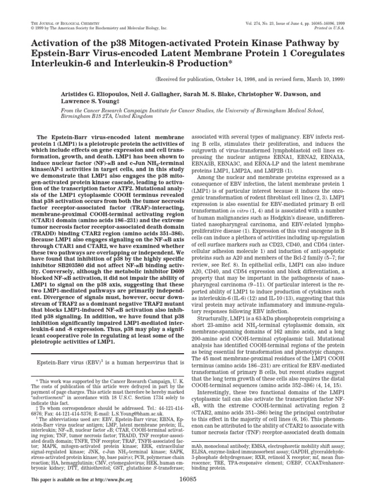 Activation of The p38 Mitogen-Activated Protein Kinase Pathway by ...