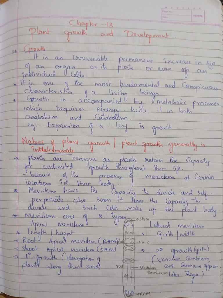 CH 13 Plant Growth and Development | PDF