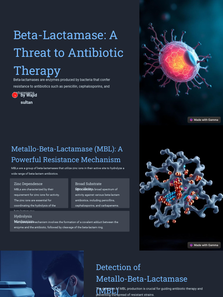 Beta Lactamase A Threat To Antibiotic Therapy | PDF | Beta Lactamase ...