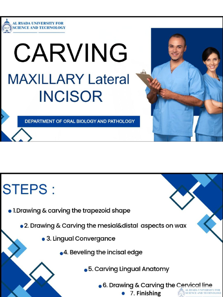 Maxillary Lateral Incisor Drawing Guide | PDF