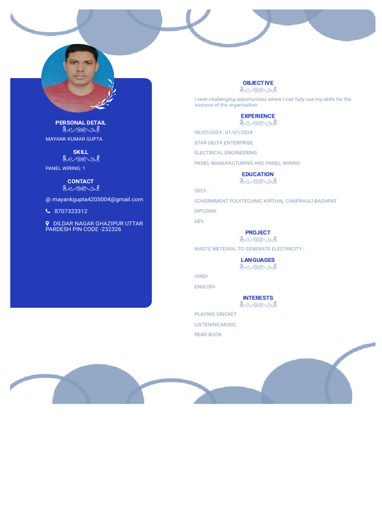 My New CV | PDF