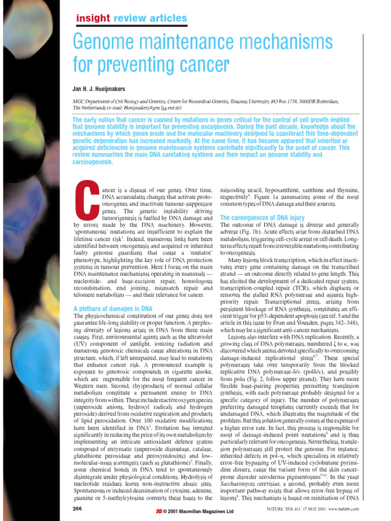 DNA Maintenance and Cancer Prevention | PDF | Dna Repair | Carcinogenesis