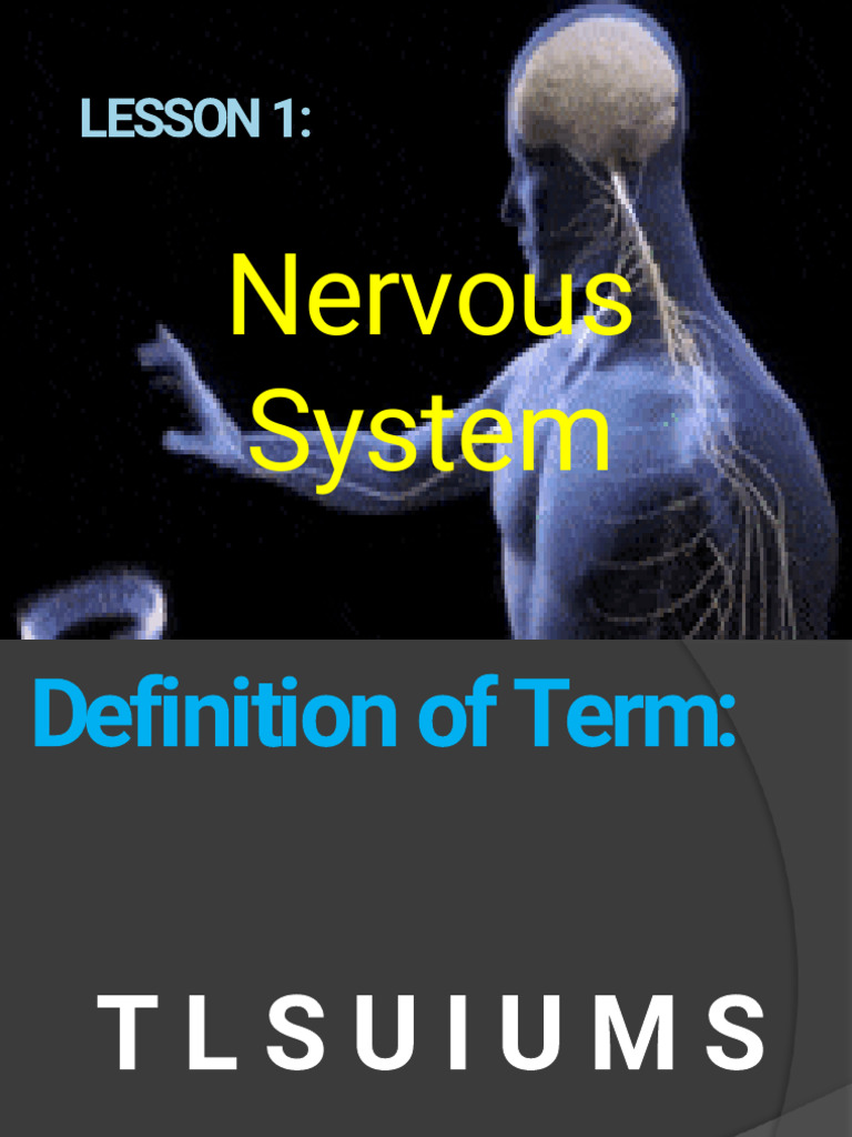 Inbound 171204197045885111 | PDF | Motor Neuron | Nervous System