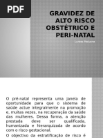 Encaminhamento para Pré-natal de Alto Risco | PDF | Gravidez | Gestação