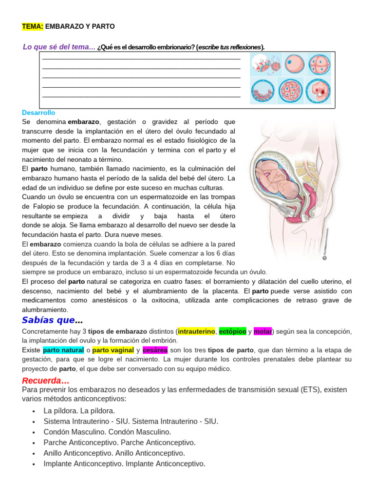 Embarazo y Parto: Guía Completa | PDF | El embarazo | Parto