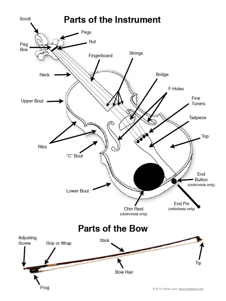 Parts of The Instrument | PDF