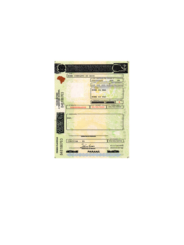 CNH Editável para Download em PDF | PDF