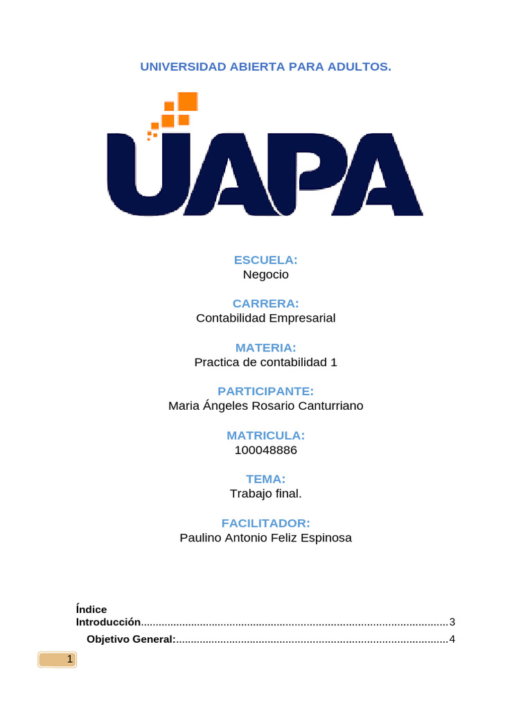Trabajo Final Practica de Contabilidad I | PDF | Contabilidad | Business