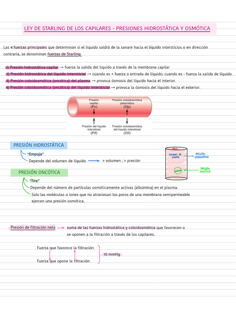 Ley de Starling: Presiones Hidrostática y Oncótica | PDF | Fisiología ...