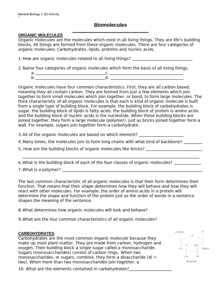 Overview of Organic Molecules in Biology | PDF | Carbohydrates ...