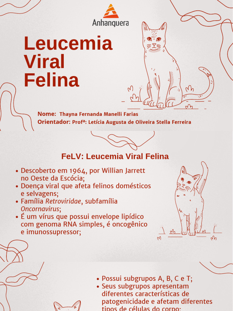 Feline Leukemia Virus Subtypes Reference: Leucemia Viral Felina Causas E Tratamento Pdf Vírus