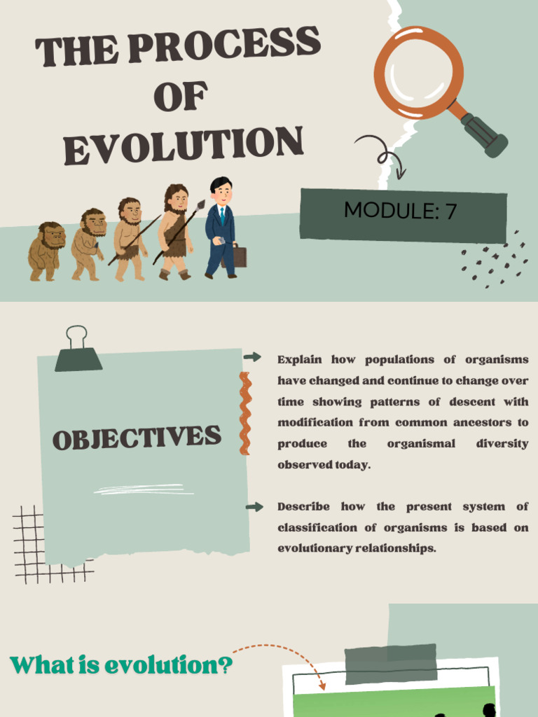 Evolution and Classification Basics | PDF