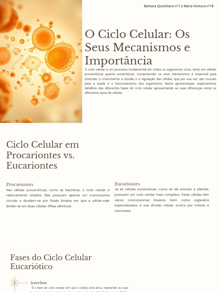 Mecanismos e Importância do Ciclo Celular | PDF | Mitose | Célula ...