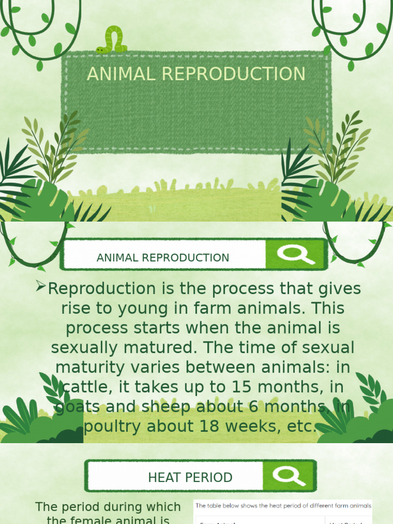 Animal Reproduction | PDF | Menstrual Cycle | Luteinizing Hormone