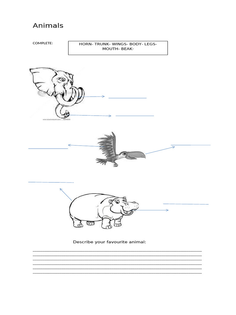 Animals Fun Activities Games - 26794 | PDF