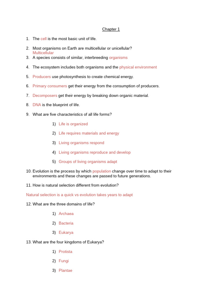 Lecture+Exercise+ +chapter+1 | PDF