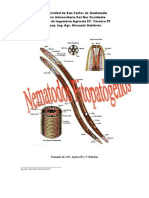 Nematodos Fitopatogenos 2011 PDF Avf
