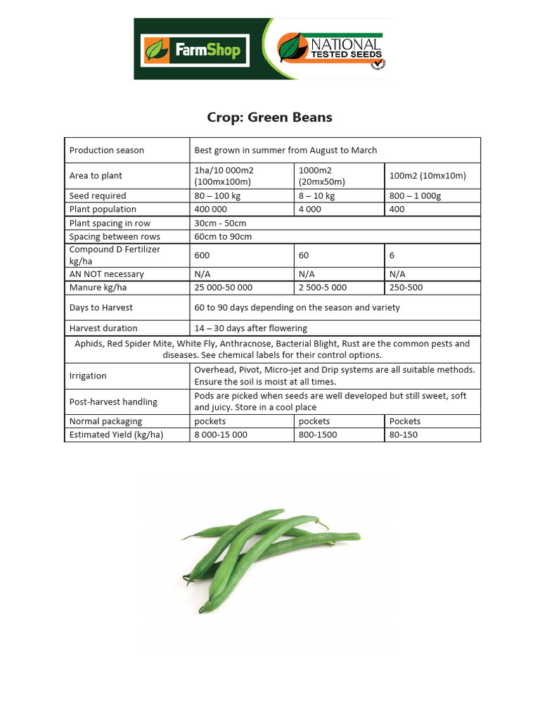 Green Beans Cultivation Guide | PDF