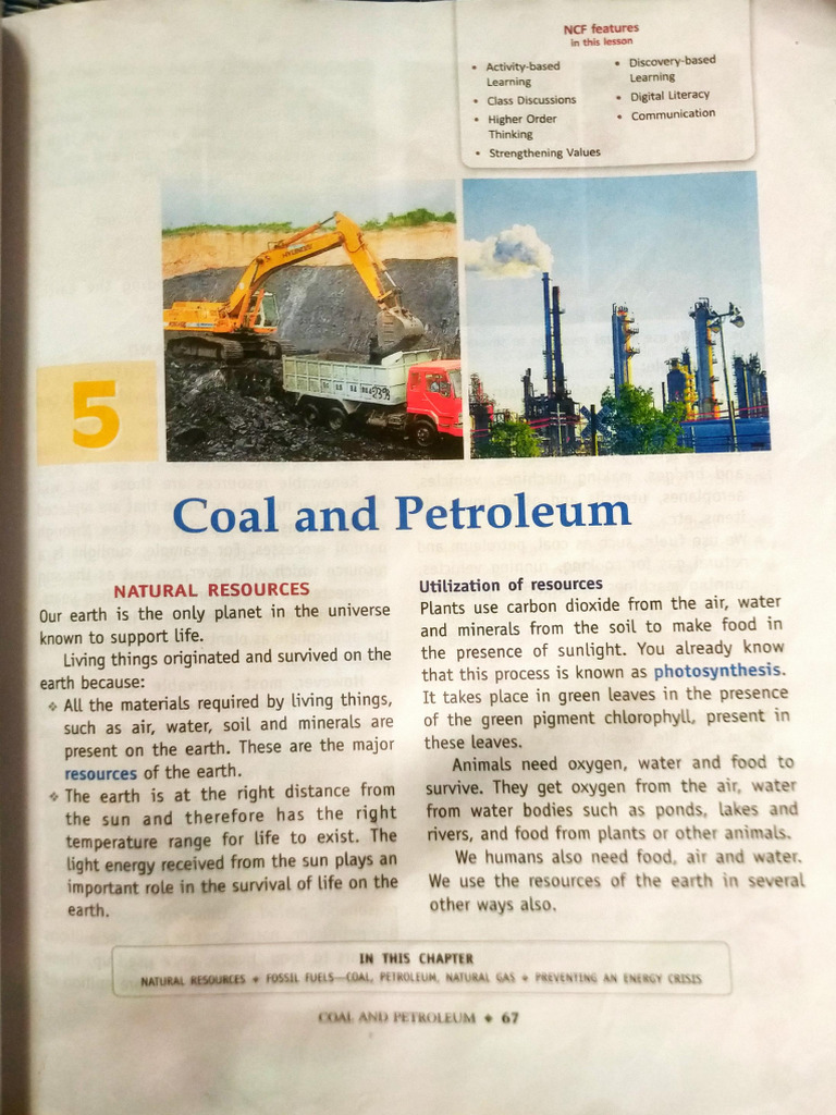 Coal and Petroleum Class 8 | PDF