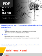 Hand and Wrist Anatomy Overview | PDF | Hand | Joints
